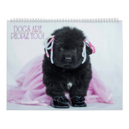 Notta Bären Hunde sind auch Menschen! Kalender