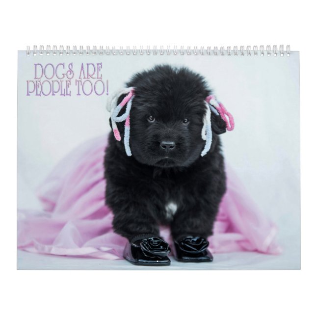 Notta Bären Hunde sind auch Menschen! Kalender (Titelbild)