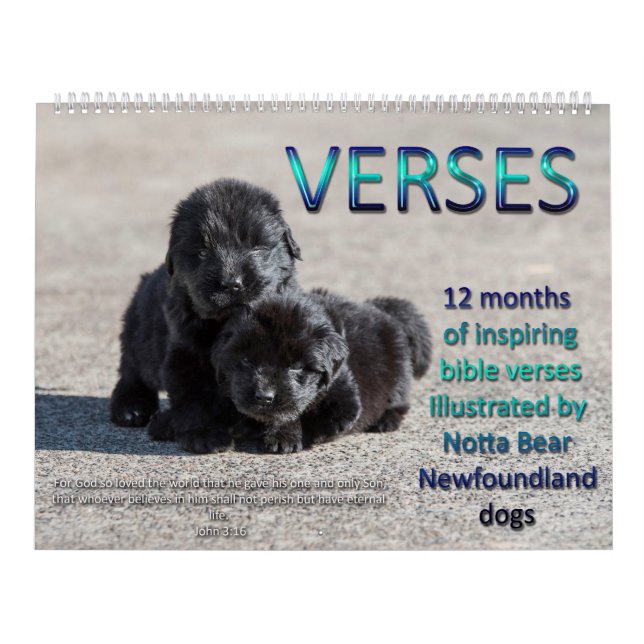 Notta Bear Newfundlands Verses Kalender (Titelbild)
