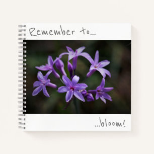 N'oubliez pas de fleurir Cahier de fleurs bleues v