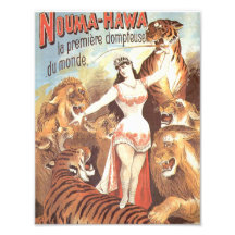 Nouma Hawas Flüstern zu Tigern