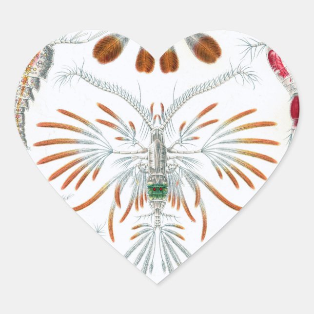 Nous aimons les autocollants d'illustrations scien (Devant)