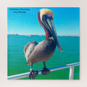Nous aimons les puzzles de pélicans en Floride
