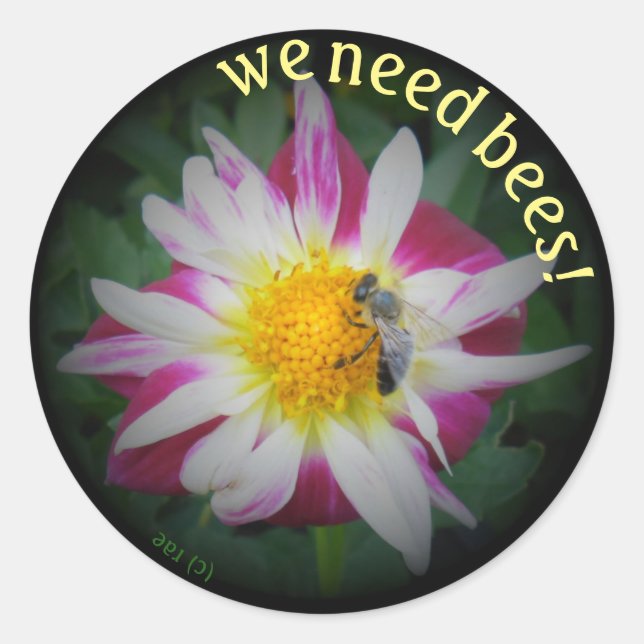 nous avons besoin de stickers abeilles (Devant)