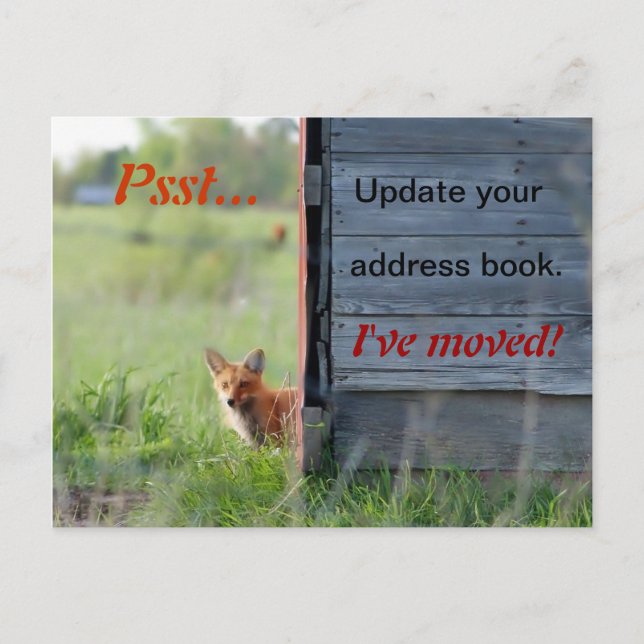 Nous avons Déménagé Carte postale (renard rouge da (Devant)