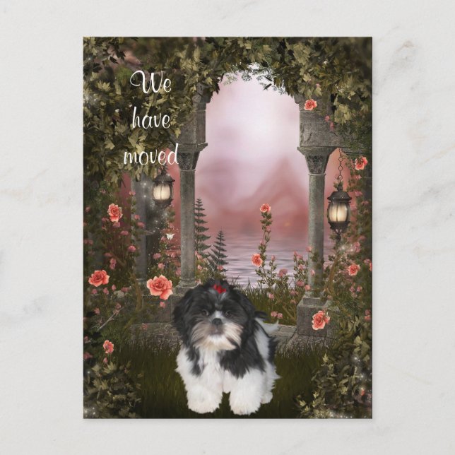 "Nous avons déménagé" Carte Postale Shih Tzu (Devant)