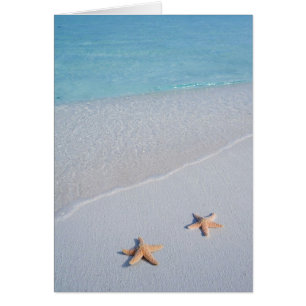 Nous deux   Ocean Love Starfish
