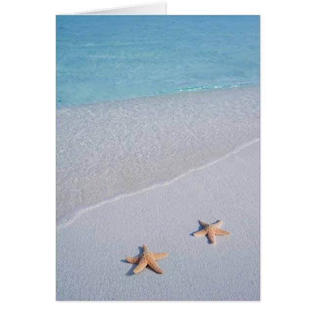 Nous deux | Ocean Love Starfish (Devant)