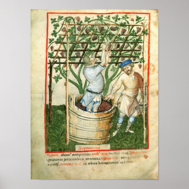 Nouv Acq Lat Ansammlung und Presssorten Poster (Vorne)