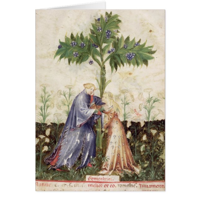 Nouv Acq LatFennel, de 'Tacuinum Sanitatis (Devant)