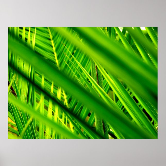 (Nouveau Arrivée) Affiche (Devant)