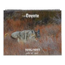 Nouveau ! Calendrier 'Je suis Coyote' 2026/2027