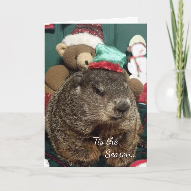 Nouveau ! ! ! Carte de voeux de vacances Groundhog (Devant)
