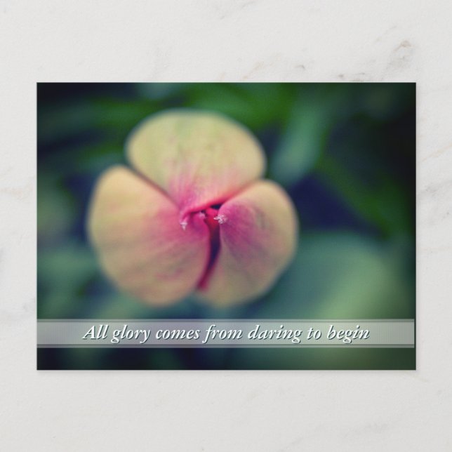 Nouveau Début Fleur Tulip Printemps Carte postale (Devant)