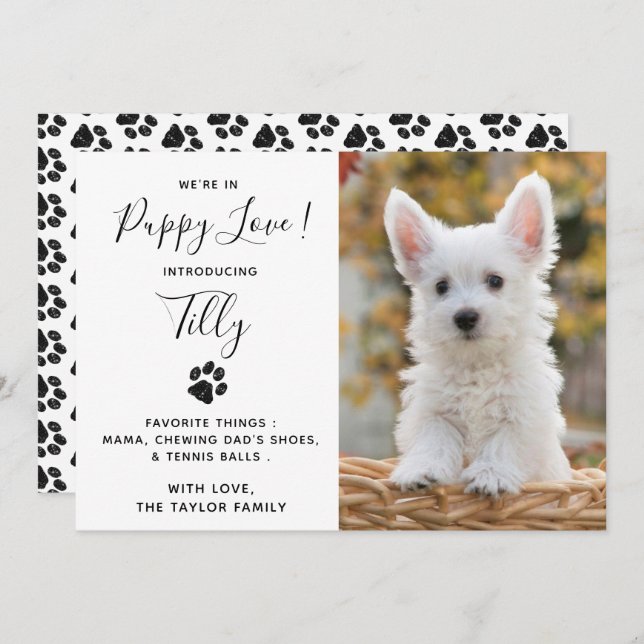 Nouveau Faire-part Chien Chien Chien Chien Chien P (Devant / Derrière)