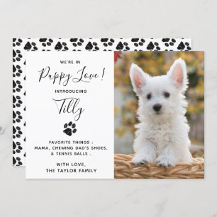 Nouveau Faire-part Chien Chien Chien Chien Chien P