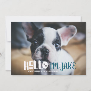 Nouveau Faire-part d'adoption des animaux   Bonjou