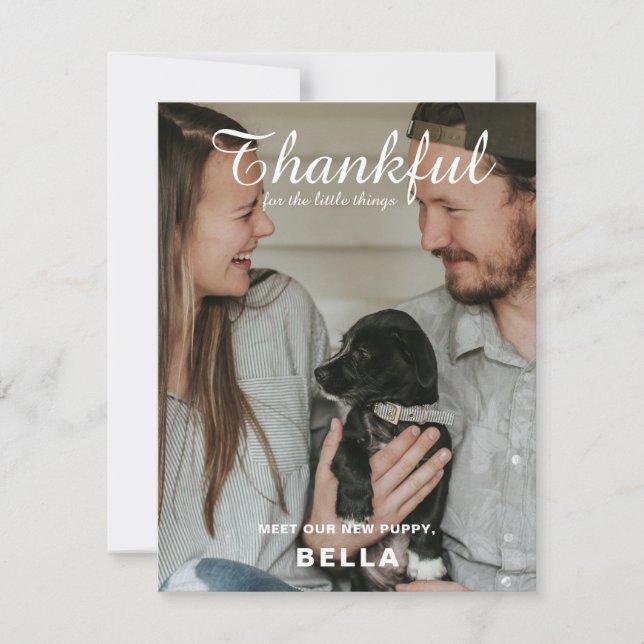 Nouveau Faire-part photo pour animaux Thanksgiving (Devant)