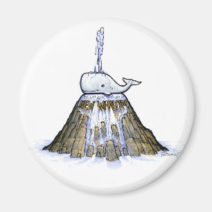 Nouveau Magnet de fontaine de balais