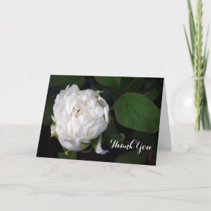 Nouveau White Peony Floral Photographie Merci Cart