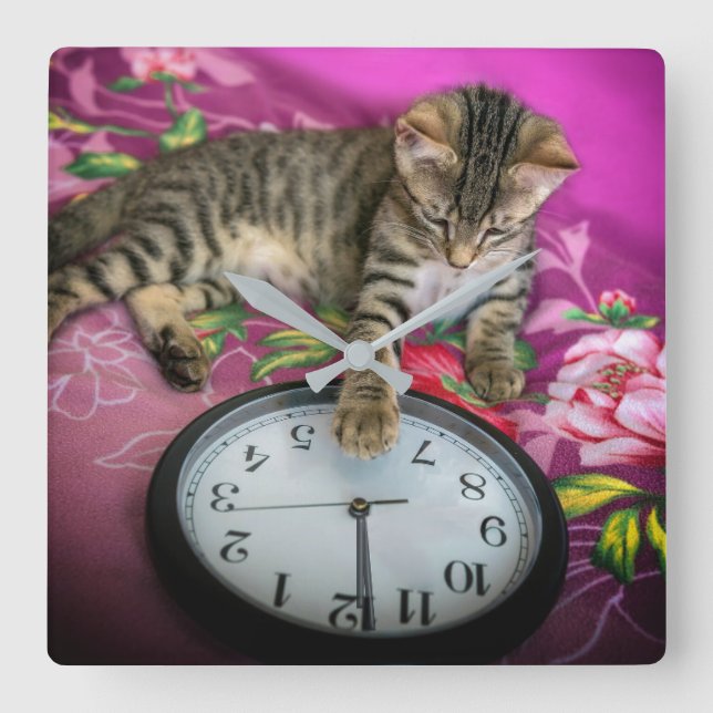Nouvel An Horloge Chat 12 minuit Compte rendu (Recto)