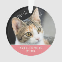 Nouvel animal de compagnie Premier chat de Noël Ch