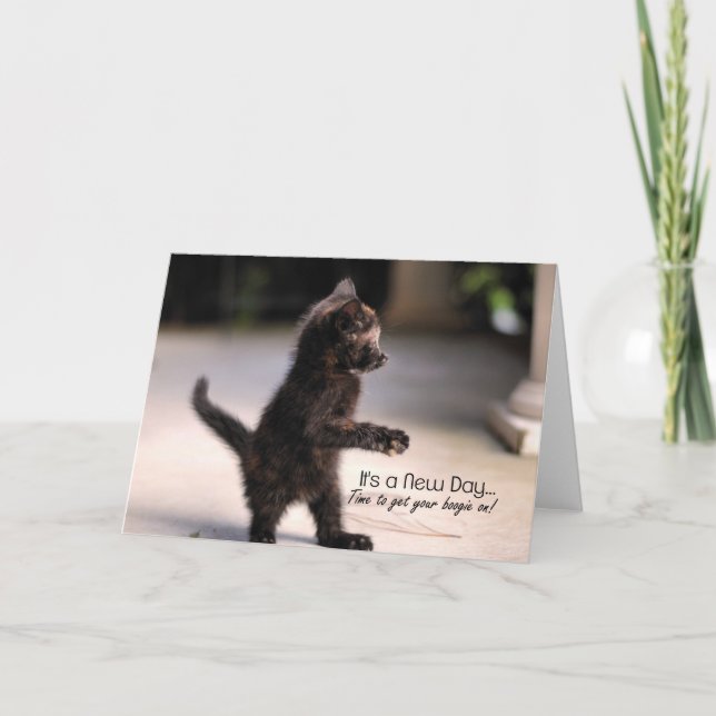 Nouvel jour : Carte de voeux Drôle Kitten (Devant)
