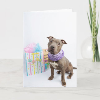 Nouvelle carte bébé