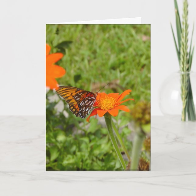 Nouvelle carte de démarrage (Devant)