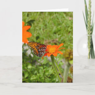 Nouvelle carte de démarrage