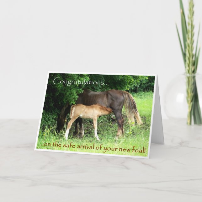 Nouvelle carte Félicitations Foal (Devant)