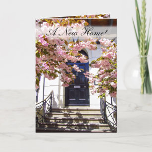 NOUVELLE CARTE HOME ~