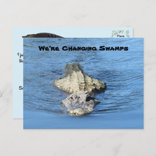 Nouvelle carte postale Alligator (Devant / Derrière)