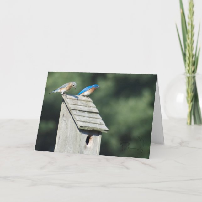 Nouvelle Édition Familiale, carte (Devant)