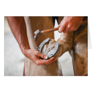 Nouvelles chaussures