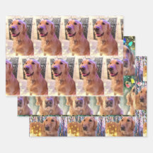 Nova, das goldene Retriever Weihnachtsbuch