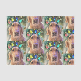 Nova, das goldene Retriever Weihnachtszettel Seidenpapier