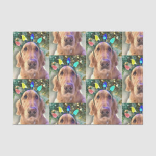 Nova, das goldene Retriever Weihnachtszettel Seidenpapier