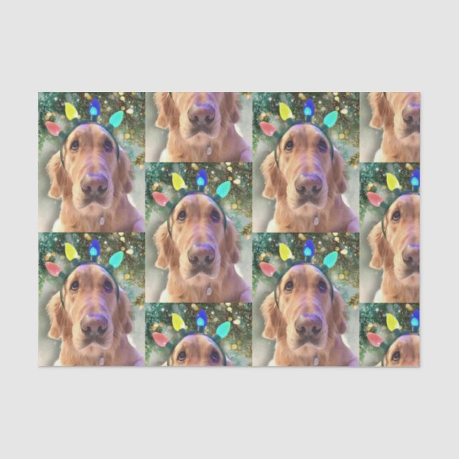 Nova, das goldene Retriever Weihnachtszettel Seidenpapier (Vorderseite)
