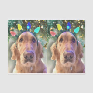 Nova, das goldene Retriever Weihnachtszettel Seidenpapier