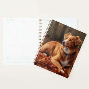 Nova Scotia Duck Terrier im Herbst Leaves Fall Planer