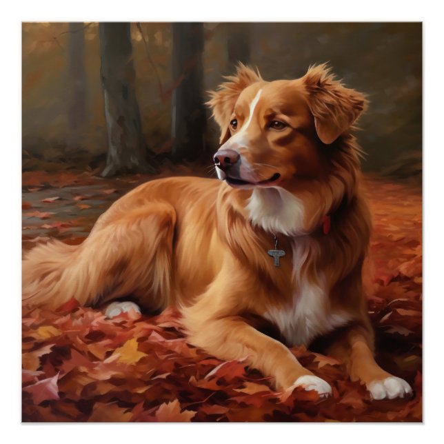 Nova Scotia Duck Terrier im Herbst Leaves Fall Poster (Vorderseite)