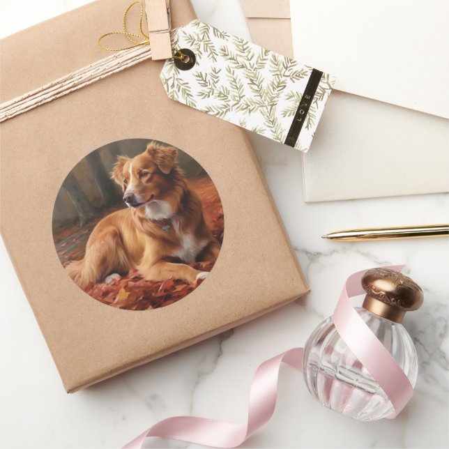 Nova Scotia Duck Terrier im Herbst Leaves Fall Runder Aufkleber (Schenken)