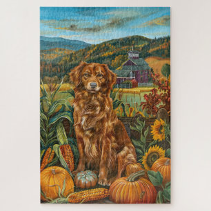Nova Scotia Duck Toller Dog Herbst Erntedank