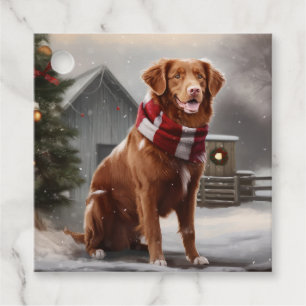Nova Scotia Duck Toller Dog Schnee Weihnachten Geschenkanhänger