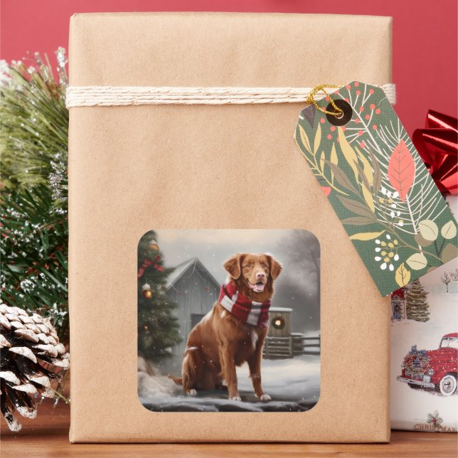 Nova Scotia Duck Toller Dog Schnee Weihnachten Quadratischer Aufkleber (Feiertag)