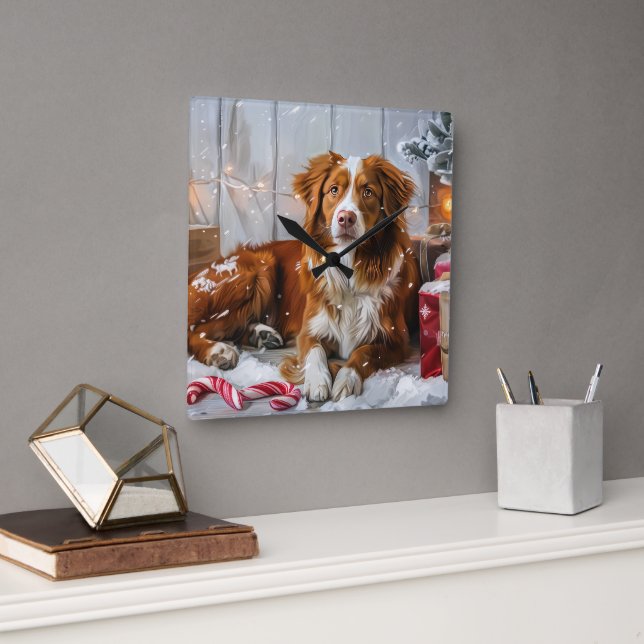 Nova Scotia Duck Toller Dog Weihnachtsfest Quadratische Wanduhr (Büro)