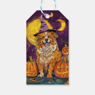 Nova Scotia Duck Toller Halloween HexenkPumpkin Geschenkanhänger