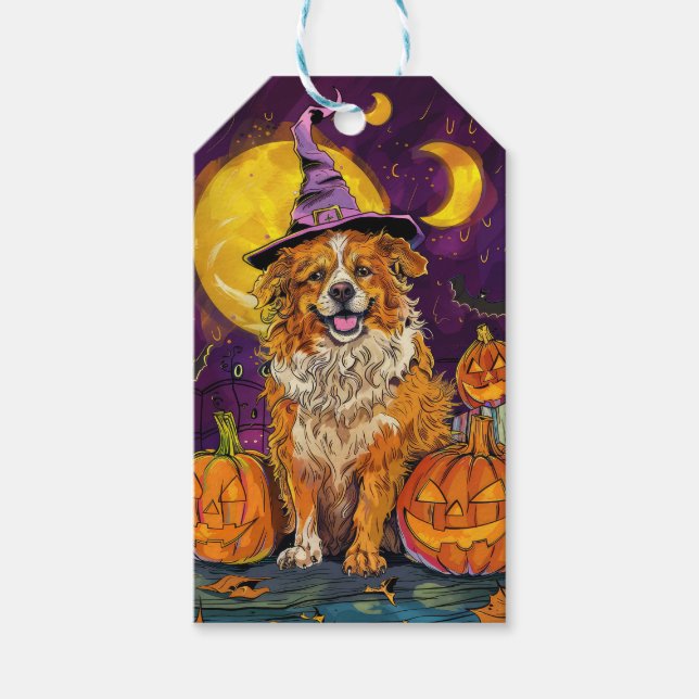 Nova Scotia Duck Toller Halloween HexenkPumpkin Geschenkanhänger (Vorderseite)