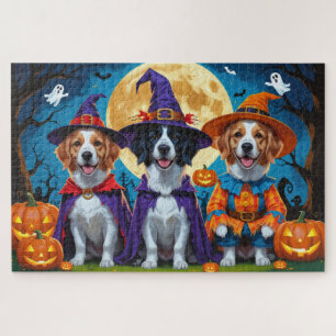 Nova Scotia Duck Toller Pumpkin Halloween Funny